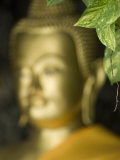 Buddha  Wat Chana Songkhram  Bangkok  Thailand