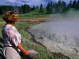 Mud Volcano  Churning Cauldron in the Yellowstone National Park  Yellowstone National Park  Wyoming