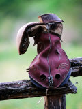 Old Boot on Fence  Mayan Dude Ranch  Bandera  Texas