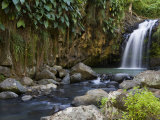 Annandale Falls  Constantine  St George  Grenada