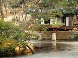 Biwon Garden at Changdeokgung  Gwanghwamun  Seoul  South Korea