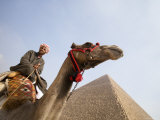 Tourist on Camel near Pyramid  Cairo
