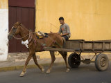 Man Riding on Horse-Drawn Cart  Granada  Nicaragua