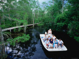 Boat Ride through the Swamp  Okefenokee Swamp Park  Georgia