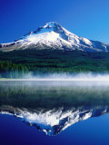 Trilium Lake with Mt Hood in Background  Mt Hood  Oregon