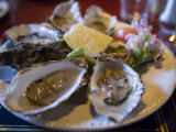 Plate Full of Oysters  Quay Cottage Seafood Restaurant  Westport  Ireland