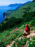 Hiker on Trail Above Corniglia  Cinque Terre  Liguria  Italy