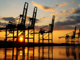 Harbour Cranes  Tacoma  Washington