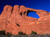 Skyline Arch with Pinyon Pines and Utah Juniper Trees at Base  Arches National Park  Utah