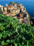 Manarola Town from Above  Cinque Terre  Liguria  Italy