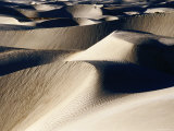 Coastal Sand Dunes  Dunas de Soledad  Guerrero Negro  Baja California Sur  Mexico