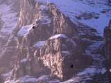 Kleine Scheidegg  the Towering Eiger Mountain with Crows Flying Overhead  Bern  Switzerland