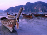 Longtail Boats on Ao Ton Sai Beach at Low Tide  Ko Phi-Phi Don  Krabi  Thailand