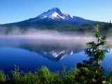 Trilium Lake with Mt Hood in Background  Mt Hood  Oregon