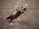 Man Bullriding at Cheyenne Frontier Days Rodeo  Cheyenne  Wyoming