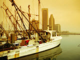 Fishing Boats at Harbour  Corpus Christi  Texas