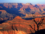 Grand Canyon from South Rim Near Yavapai Point  Grand Canyon National Park  Arizona