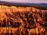 Bryce Canyon at Dawn  Seen from Bryce Point