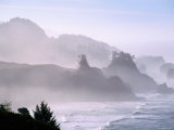 Seascape  Sea Mist on Coastline  Oregon