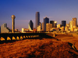 Houston Street Viaduct and Skyline from Trinity River Levee  Dallas  Texas