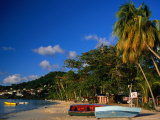 Boats on Shore of Grand Anse Beach  St George's  St George  Grenada