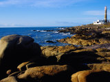 Rocky Coastline and Lighthouse  Cabo Polonio Forest Park  Rocha  Uruguay