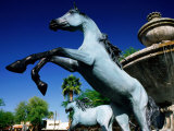 Bronze Horse Fountain in Scottsdale  Phoenix  Arizona
