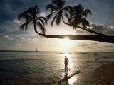 Sunset Silhouette on Turtle Beach  Mullins Bay  St Peter