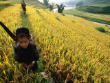 Ethnic Black H'mong  Sapa  Lao Cai  Vietnam
