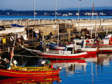 Fishing Boats in Harbour  Punta del Este  Maldonado  Uruguay