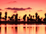 Mission Bay at Sunset  San Diego  California