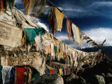 Prayer Flags Above Leh  Ladakh  Leh  Jammu and Kashmir  India