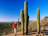 Girl Next to Saguaro Cacti at Saguaro National Park  Tucson  Arizona