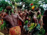 Villagers Performing Traditional Dance at Iunier Kastom Village  Tanna Island  Tafea  Vanuatu