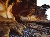 Painted Cliffs  Maria Island National Park  Maria Island  Tasmania  Australia