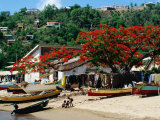 Beach with Flamboyant Tree on Anse la Raye  Anse la Raye