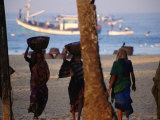 Beach Laborere Haul Baskets of Fresh Marine Produce  Colva  Goa  India