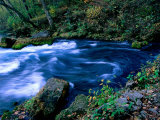 Big Spring  Ozarks National Scenic Riverways  Ozark National Park  Missouri