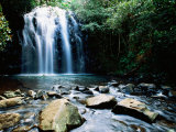 Millaa Millaa Falls  Atherton Tablelands  Queensland  Australia