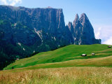 Alpine Meadow with Sciliar Peaks  Dolomites  Italy