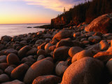 Otter Cliffs at Sunrise  Acadia National Park  Maine
