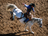 Bronco Rider at Cloncurry Rodeo  Cloncurry  Queensland  Australia