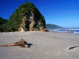 Rock Formation and Driftwood on the Beach at Woodpecker Bay  New Zealand