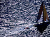 Excursion Yacht Apollo  Whitsunday Islands National Park  Queensland  Australia