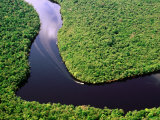 Boat Rounding a Bend on Carrao River  Canaima National Park  Bolivar  Venezuela