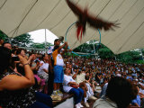 Crowd at Jurong Bird Park Bird Show  Singapore