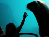 New York Aquarium  Coney Island  New York City  New York