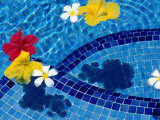 Tropical Flowers in Royal Westmoreland Pool  St James