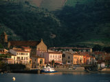 Sunrise on Port  Collioure  Languedoc-Roussillon  France