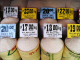 Trading Rice  Philippines